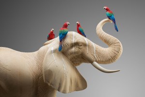 Detail of: Facial tratement / 67x77cm / painted limewood / 2016