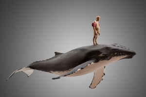 "Life guard", limewood, applewood and acrylic colors, 99 x 67 cm, 2014